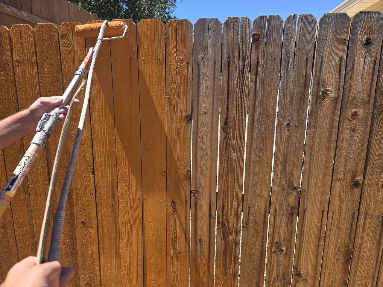 Stain being rolled onto weathered fence pickets